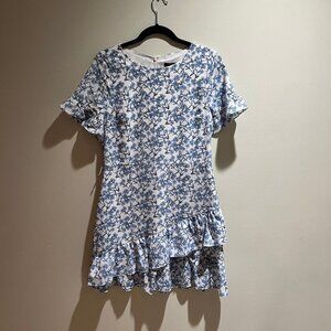 Banana Republic Factory Blue Floral Ruffle Mini Dress